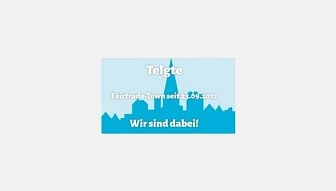 3 FT Feld grau.jpg