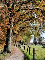 Alte Eichen, Emsauenpark
Presseservice