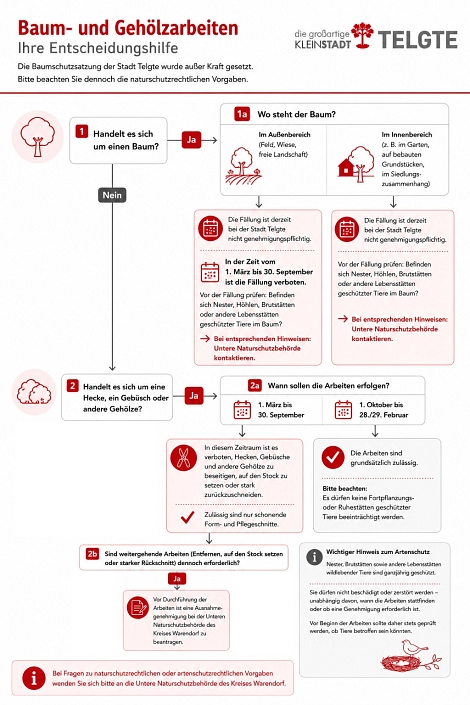 Baumschutz, Grafik Infografik zu Baum- und Gehölzarbeiten: Entscheidungshilfe zur Einhaltung von Vorschriften. © Stadt Telgte