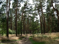 Erholungsgebiet, Klatenberg, Foto Simone Thieringer
Presseservice