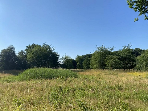 k-Emsauenpark Martina Klapper 2022 (3).JPG&nbsp;&copy;&nbsp;Stadt Telgte, Martina Klapper