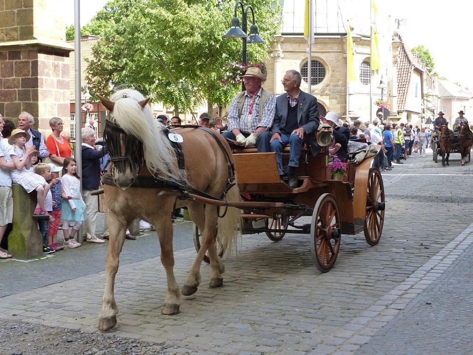 Kutschenwallfahrt in Telgte k-Kutschenwallfahrt 2017 (2).JPG © Stadt Telgte, Gabi Wilken