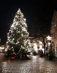 Marktplatz, Weihnachtsbaum Marktplatz, Weihnachtsbaum
Presseservice