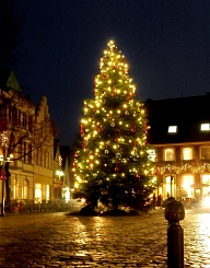 Marktplatz, Weihnachtsbaum_ Marktplatz, Weihnachtsbaum
Presseservice