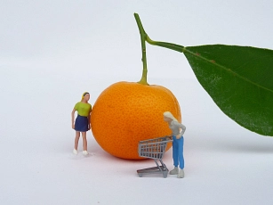 Miniatur Wochenmarkt&nbsp;&copy;&nbsp;Stadt Telgte, Simone Thieringer