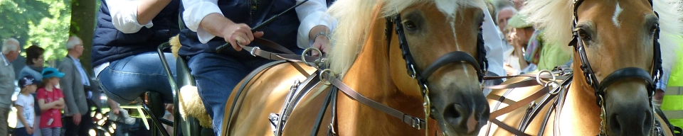 Minibanner Kuwa G Wilken.jpg&nbsp;&copy;&nbsp;Stadt Telgte, Gabi Wilken