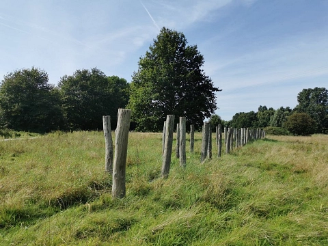 k-Pfostenallee Gabi Wilken 2021 (3).jpg&nbsp;&copy;&nbsp;Stadt Telgte, Gabi Wilken