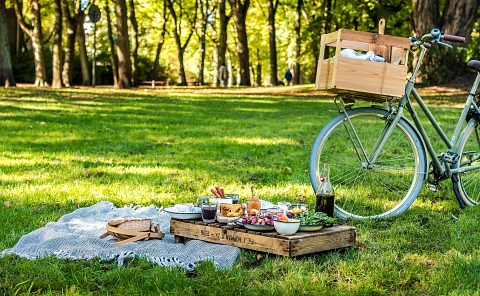 k-Picknick mit Rad(c)Münsterland e.V_Foodistas.jpg&nbsp;&copy;&nbsp;Münsterland e.V.