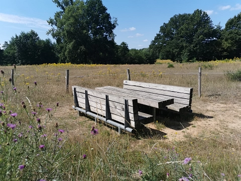 Picknickplatz Pöhlen&nbsp;&copy;&nbsp;Stadt Telgte
