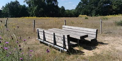 Picknickplatz Pöhlen