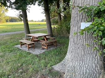 Picknickplatz Riehenhaar&nbsp;&copy;&nbsp;Stadt Telgte