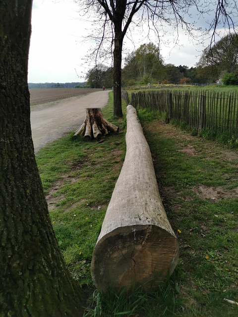 Pollerts Kreuz&nbsp;&copy;&nbsp;Stadt Telgte