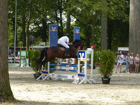 Springreiten MGM&nbsp;&copy;&nbsp;Stadt Telgte