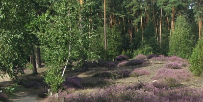 Wanderroute 5 titel.jpg
