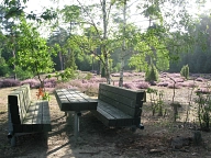 Wacholderheide, Klatenberg, Foto C.Schneider
Presseservice