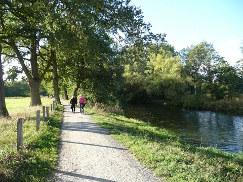 Wandernde, Emsaue, Foto Simone Thieringer
Presseservice&nbsp;&copy;&nbsp;Stadt Telgte
