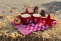 Glühweinpicknick 2.jpg